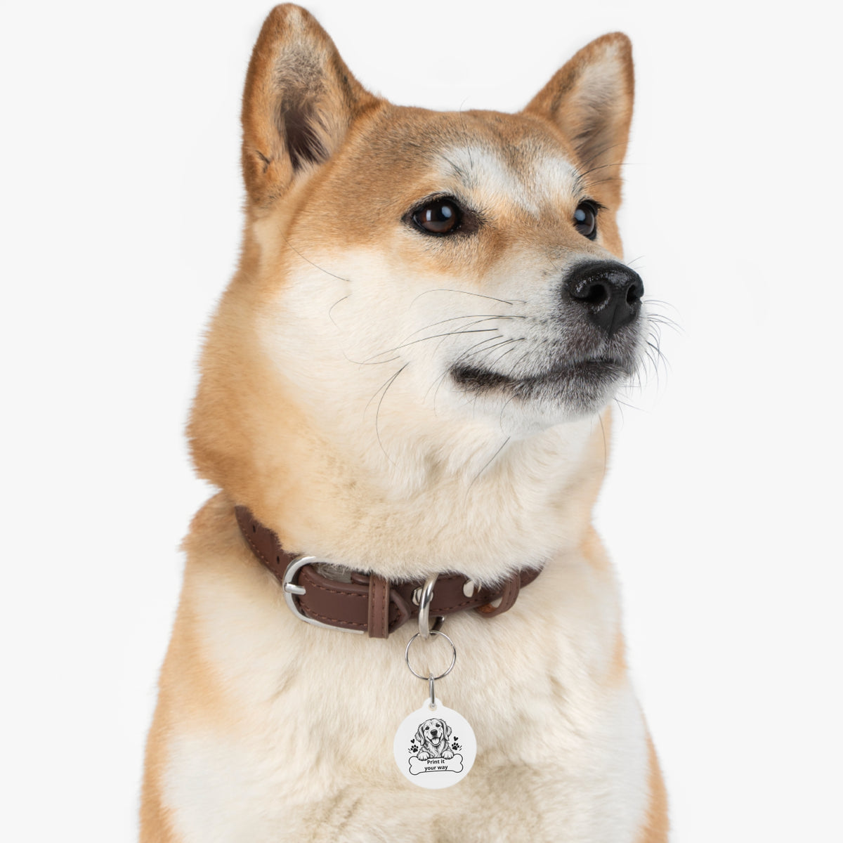 Copy of Personalized Dog Bone Pet Tag — Cute Golden Retriever ID Tag with Paw Prints